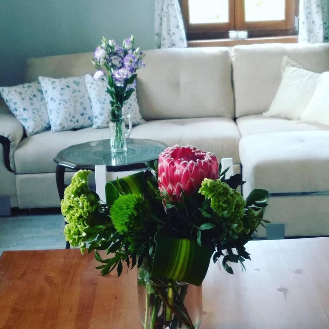 הוילה Lesencetomaj Casa Beata מראה חיצוני תמונה