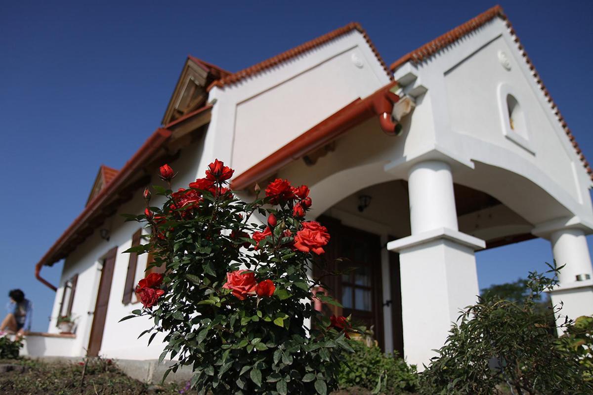 הוילה Lesencetomaj Casa Beata מראה חיצוני תמונה