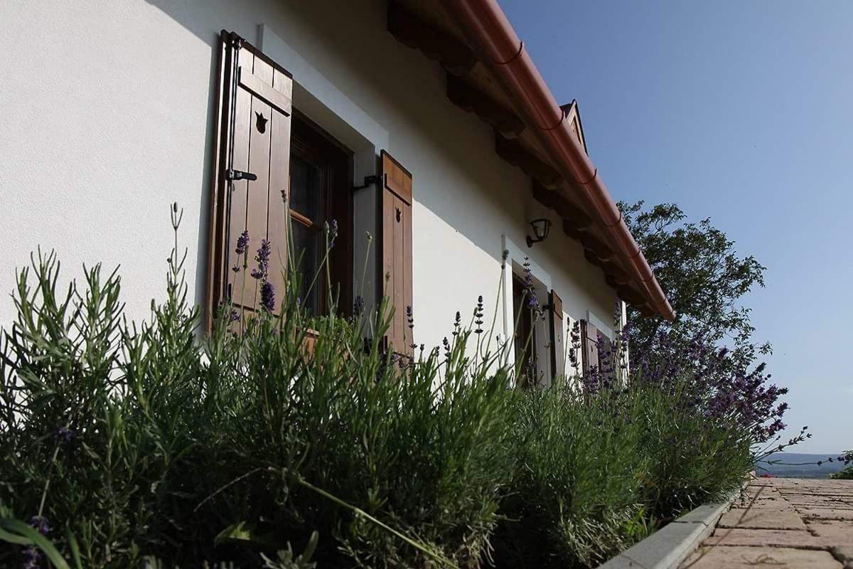 הוילה Lesencetomaj Casa Beata מראה חיצוני תמונה