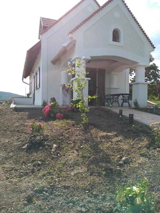 הוילה Lesencetomaj Casa Beata מראה חיצוני תמונה